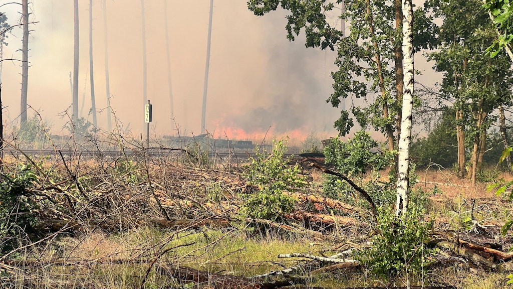 Flammen an der Eisenbahn: Die vom Waldbrand bei Treuenbrietzen betroffene Fläche hat sich in der Nacht zum Sonntag ausgedehnt.