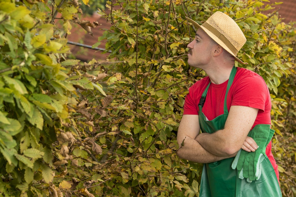 Vielleicht ist es dem neugierigen Nachbarn nicht recht, was Sie in Ihrem Garten machen. Da ist es hilfreich, die rechtlichen Regeln zu kennen. 