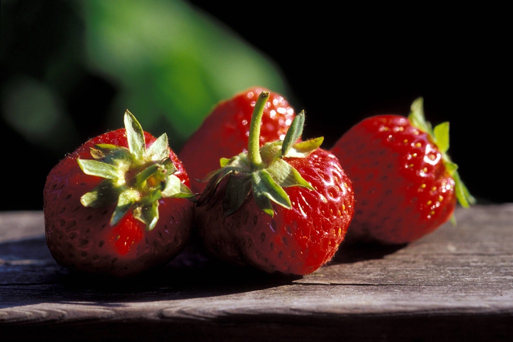 Trotz der Kühle des Lagerortes sollten Sie jedoch einige Dinge beachten, damit Ihre Erdbeeren nicht schlecht werden.