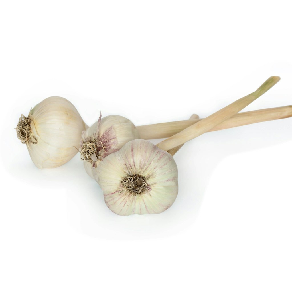 Auch der Knoblauch wird durch die Feuchtigkeit im Kühlschrank schneller schlecht.