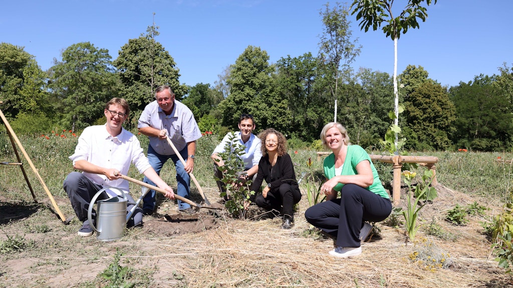 „Angärtnern“ im Waldgarten am Leonberger Ring: Stadtentwicklungs-Stadtrat Jochen Biedermann, Jens Stiller vom Bundesamt für Naturschutz, Neuköllns Bürgermeister Martin Hikel, Umwelt-Staatssekretärin Silke Karcher und Jennifer Schulz von der Uni Potsdam (v.l.).