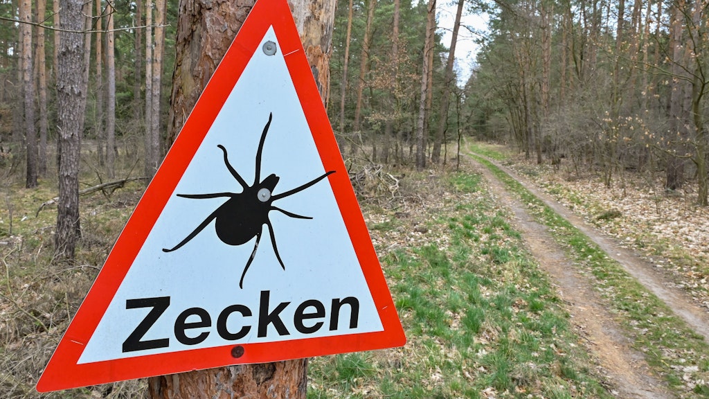 Zecken fühlen sich in vielen deutschen Wäldern heimisch - manchmal wird sogar gewarnt, wie hier im brandenburgischen Müllrose.