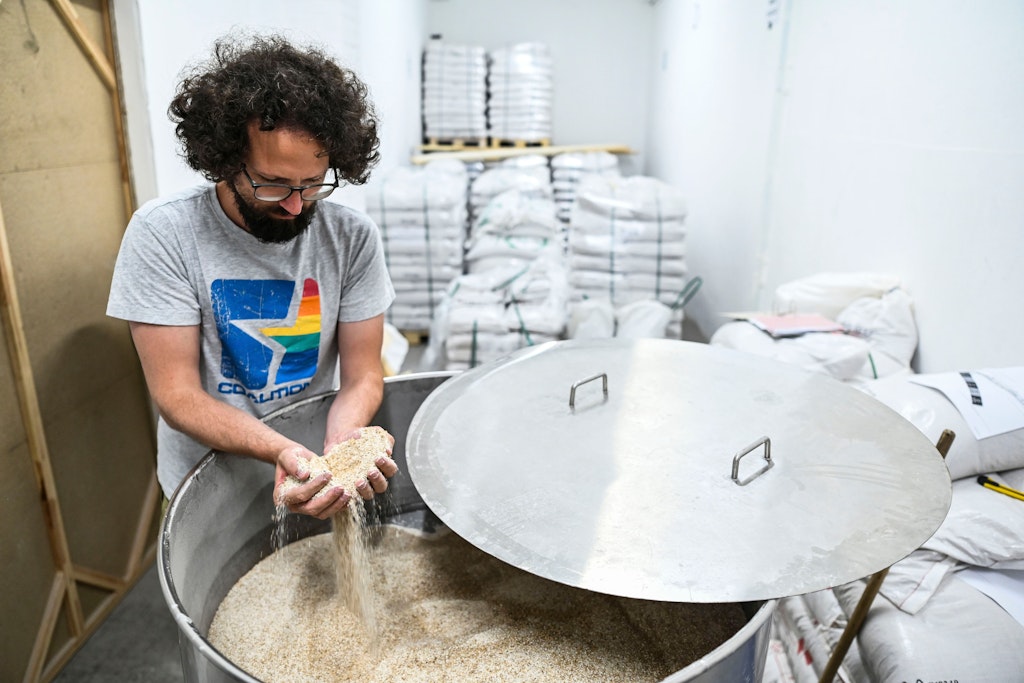 Jonas Mömken lässt Malz durch die Finger rieseln: Dieser wichtige Bierbestandteil ist um ein Drittel teurer geworden.