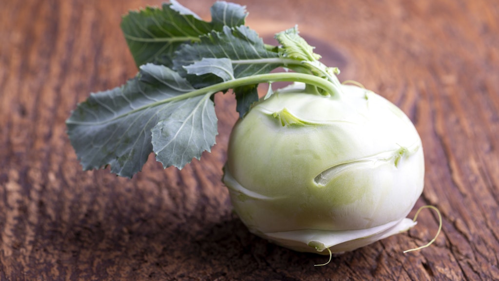 Leckere gefüllte Kohlrabis sind ein leichtes, aber superleckeres Essen für mittags oder zum Abendbrot.
