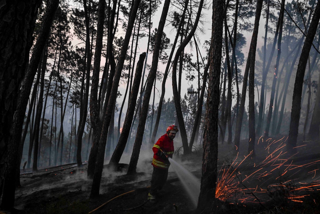 1.500 Feuerwehrleute sind in Portugal gegen die zahlreichen Brände im Einsatz.