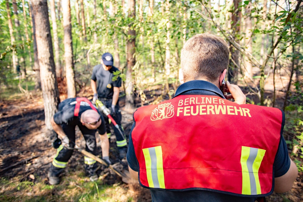 Die Berliner Feuerwehr löscht einen Hitzebrand im Wald.