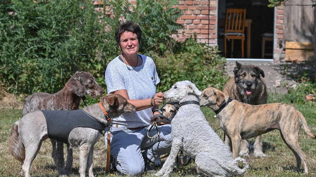 Antje Krause-Neufeld mit einer Gruppe von Hunden auf ihrem Angsthundehof.
