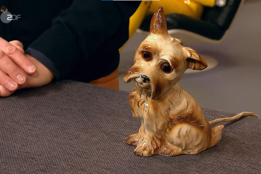 Dieser kleine Hund sucht ein neues Zuhause, nachdem er drei Haushaltsauflösungen durchlebt hat.