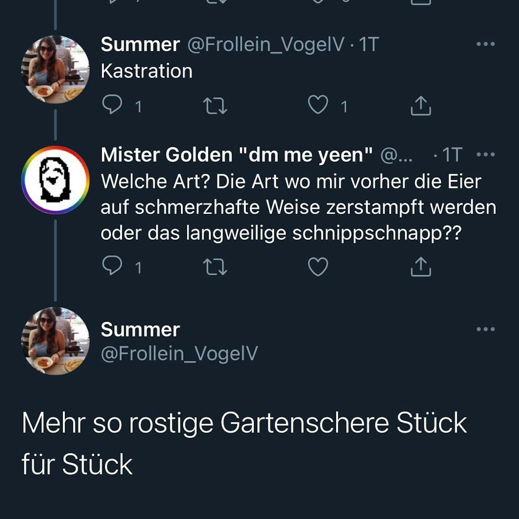 Screenshot eines inzwischen gelöschten Tweets von Marie-Luise Vollbrecht.