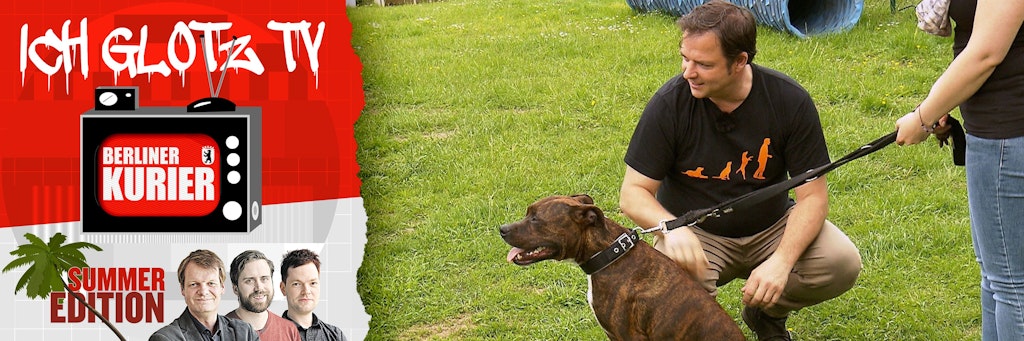Martin Rütter ist der Hundeprofi von RTL.