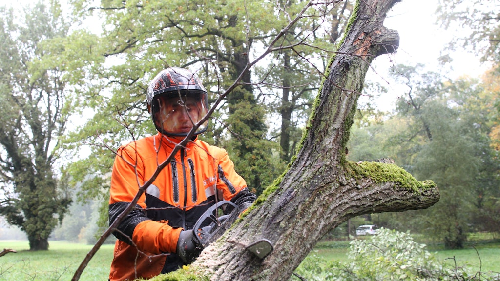 Gartendirektor Prof. Dr. Michael Rhode und seine Mitarbeiter kämpfen gegen die Auswirkungen Klimakrise auf den Park Sanssouci.