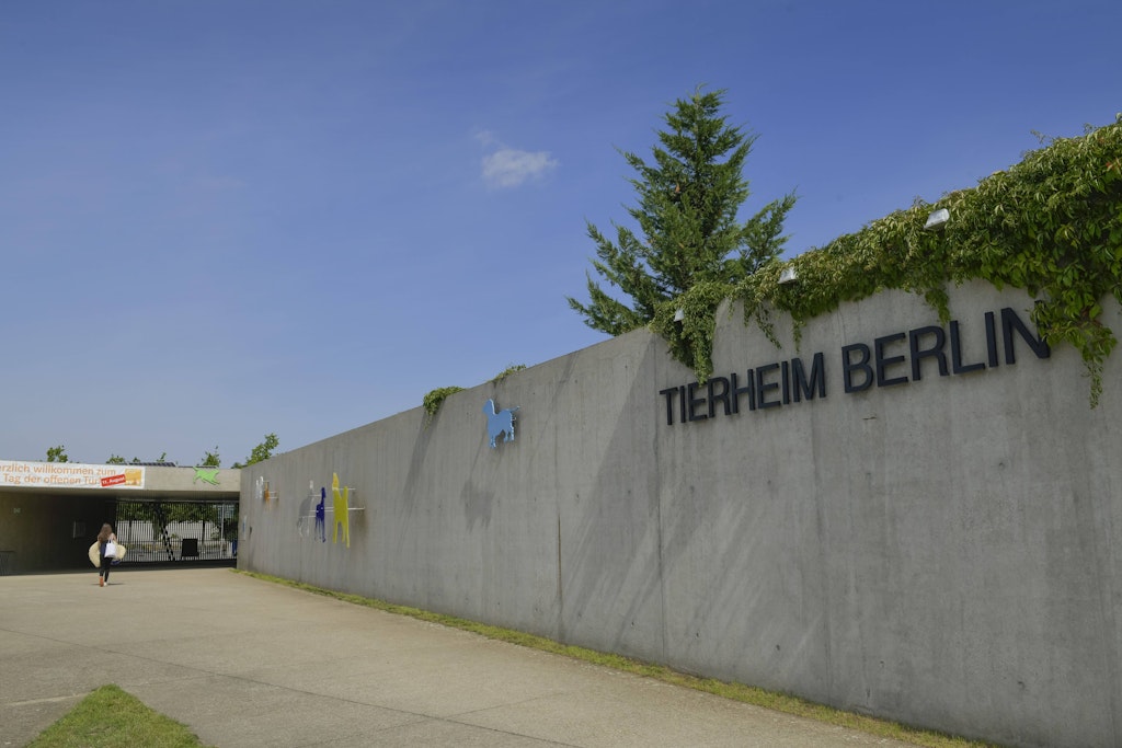 Tierheim, im Hausvaterweg in Falkenberg. Besonders zur Urlaubszeit werden hier viele Tiere abgegeben.
