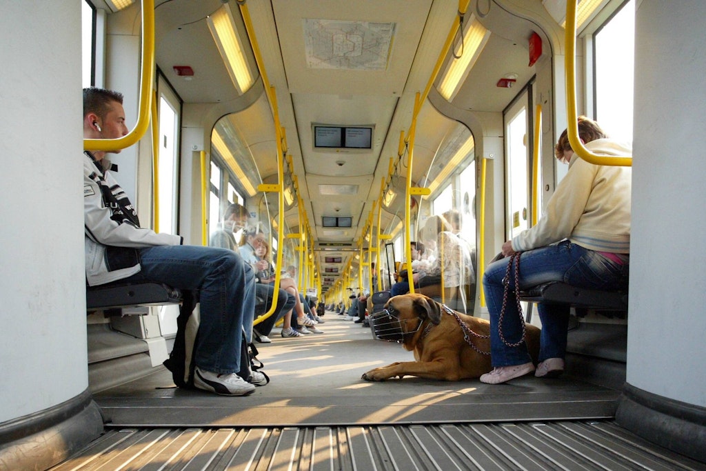 Hunde dürfen in Berlin jetzt kostenlos U-Bahn fahren, wenn Herrchen oder Frauchen das 9-Euro-Ticket haben.