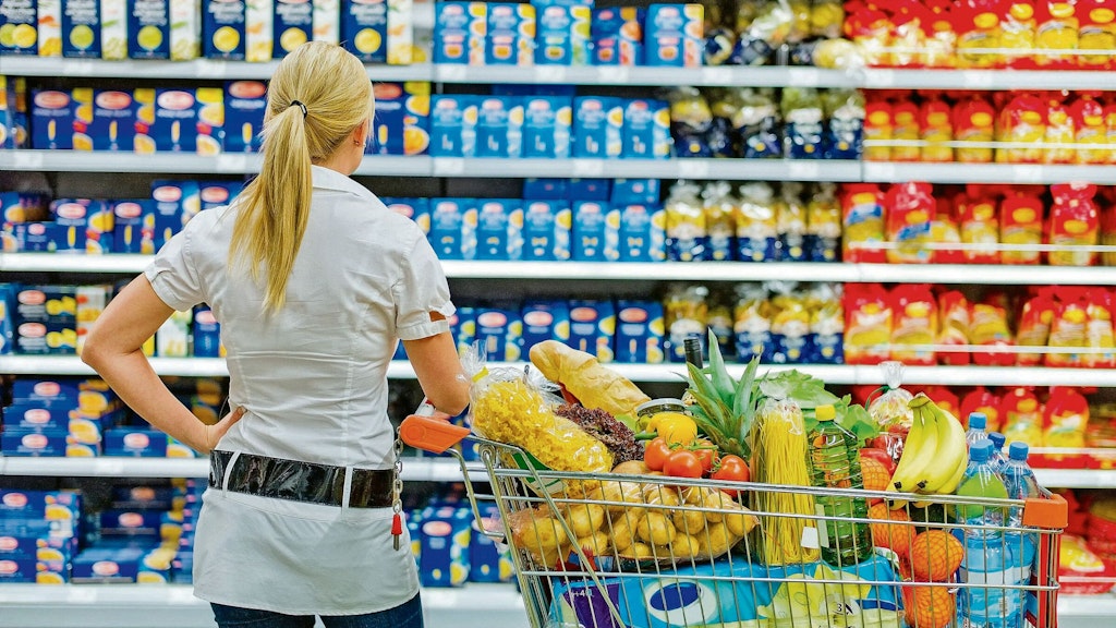 Der prallgefüllte Warenkorb wird jetzt schön teuer: Vor allem bei Lebensmitteln stiegen die Preise an.