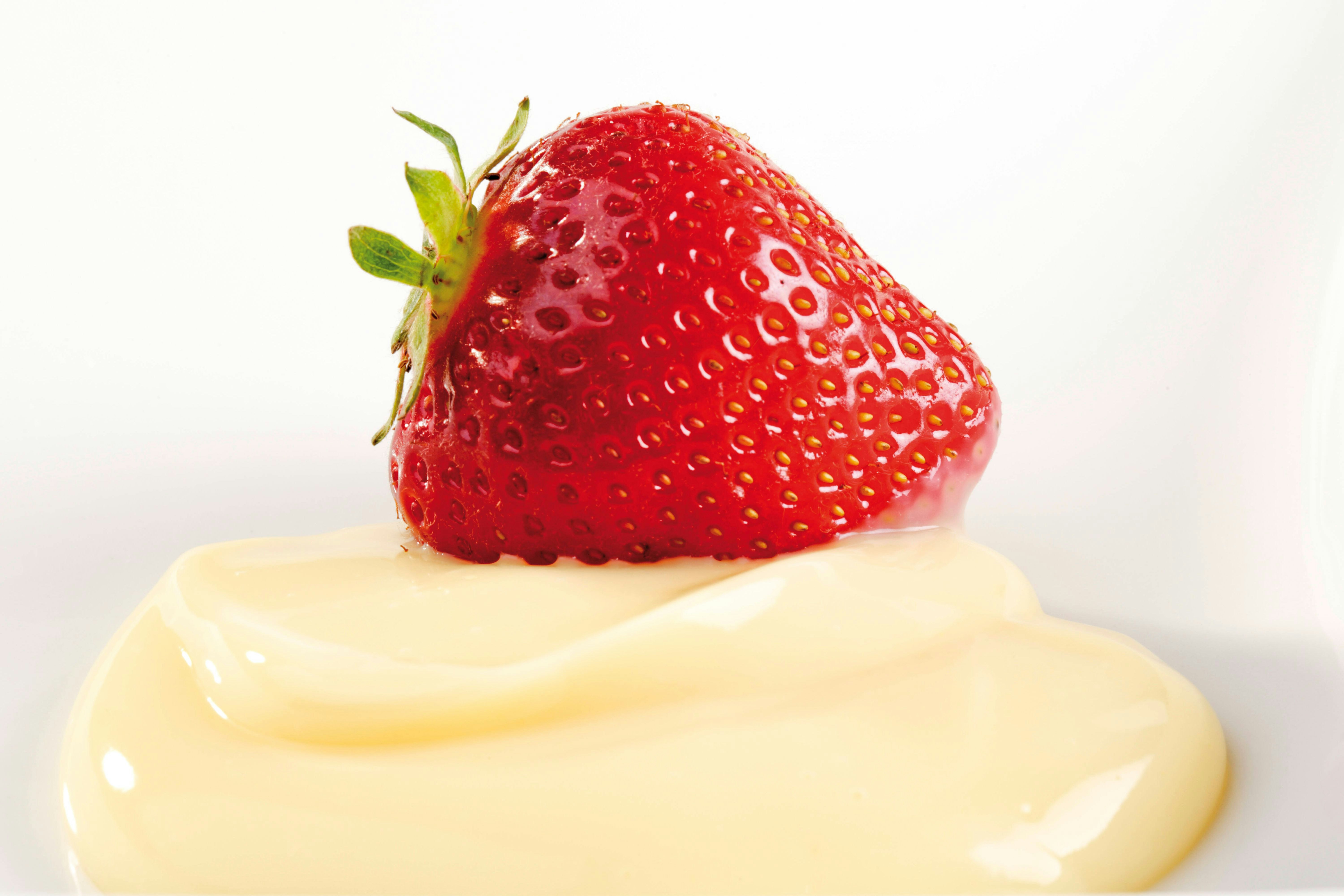 Leckeres Rezept für die Diät: Vanillepudding ohne Zucker! Dieses ...