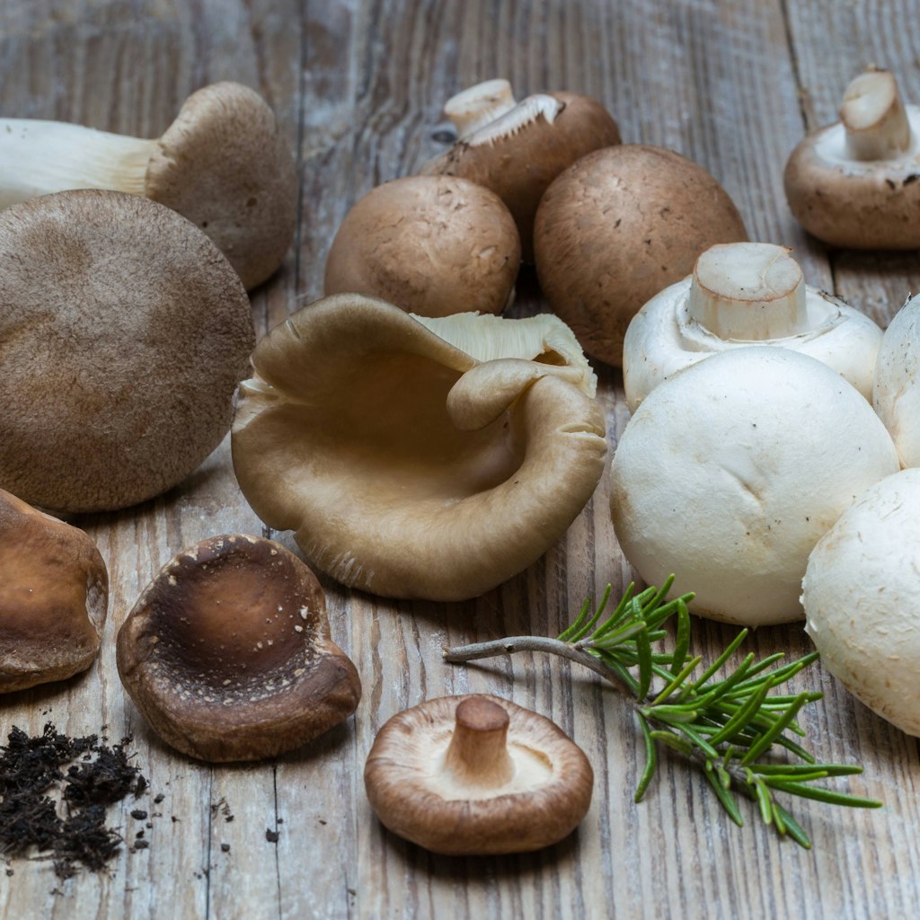 Champignons, Steinpilze und Co. können Sie nach Belieben essen, denn sie gelten als sehr kalorienarm.