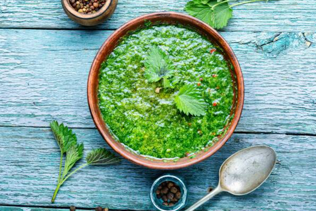 Die Brennnesselsuppe, lecker, schnell zubereitet und mega-günstig!