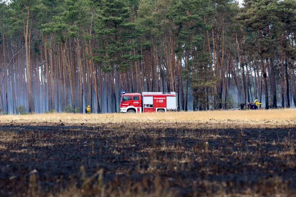 Seit Wochen brennen nicht nur in Berlin und Brandenburg die Wälder. Das Wetter ist viel zu Trocken, dass macht Mensch und Natur zu schaffen.
