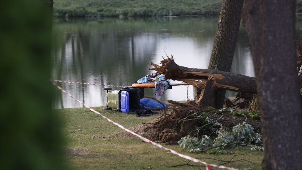 Zwei Kinder wurden in Kärnten von umstürzenden Bäumen erschlagen.