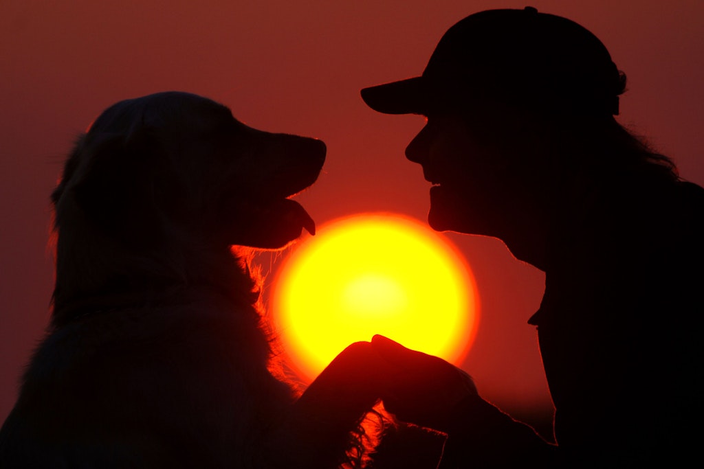 Hunde und Menschen haben über die Jahre eine besondere Beziehung zueinander aufgebaut.