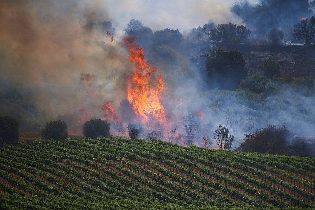 Waldbrände verwüsteten in diesem Sommer bereits große Flächen vor allem in Südeuropa. (Symbolbild)