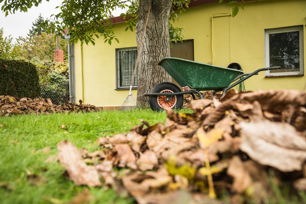 Laub auf dem Rasen sollte man im Herbst zusammenharken, am Wegesrand bieten Lauhaufen tierischen Gartenbewohnern aber ein gutes Winterquartier.
