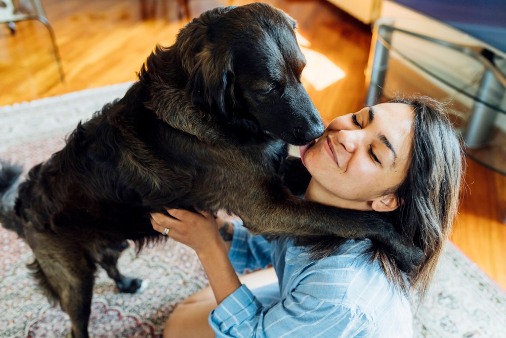 Mit Lecken zeigen Hunde ihre Zuneigung.