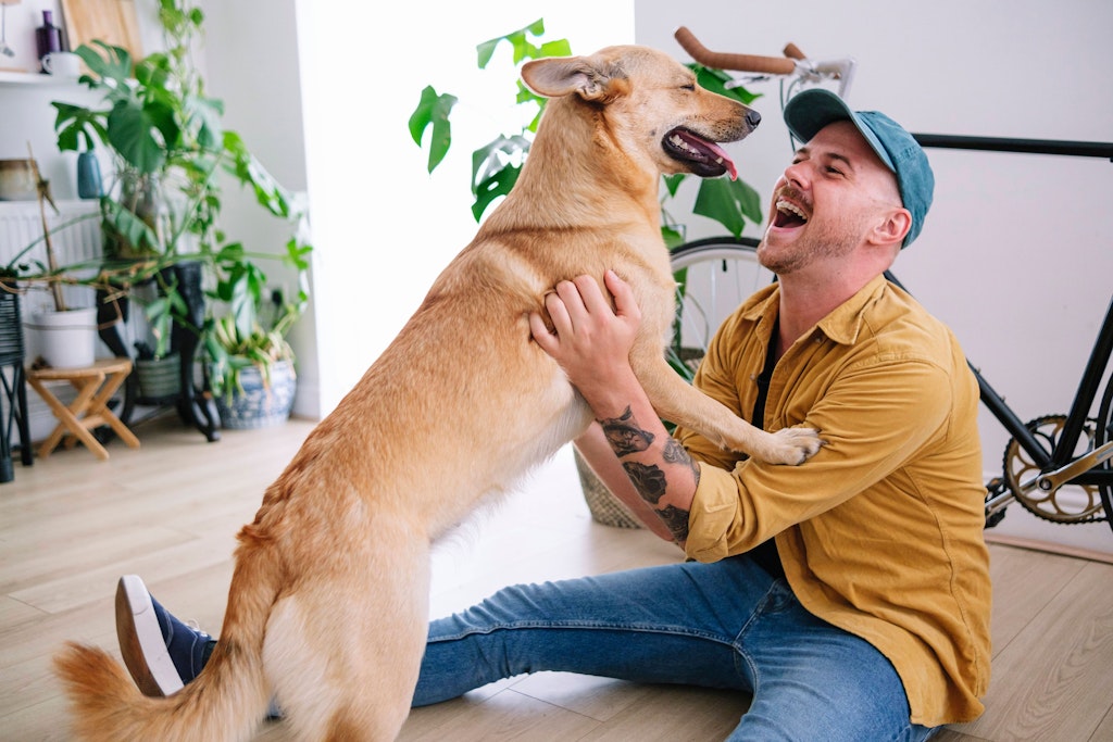 Springt der Hund an Ihnen hoch, kann das auch ein Zeichen von Dominanz sein.