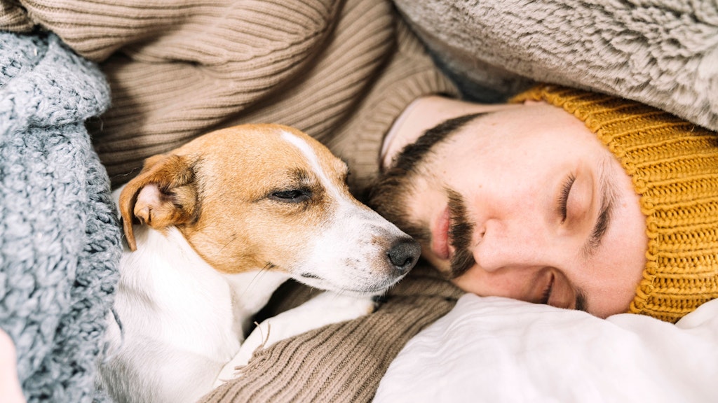 Der Hund ist am liebsten in Ihrer Nähe?