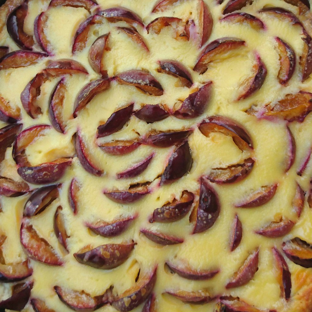 Der Käsekuchen mit Pflaumen schmeckt Ihre Kaffeetafel garantiert - Sie werden das Rezept lieben!
