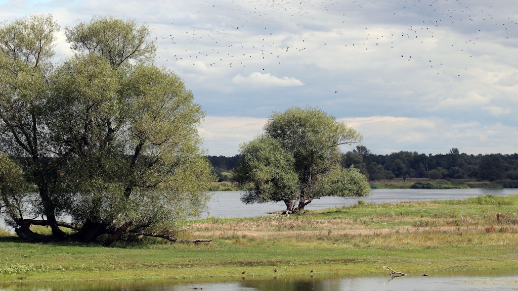 Weites Land an der Oder. Die Menschen leben am und vom Fluss. 