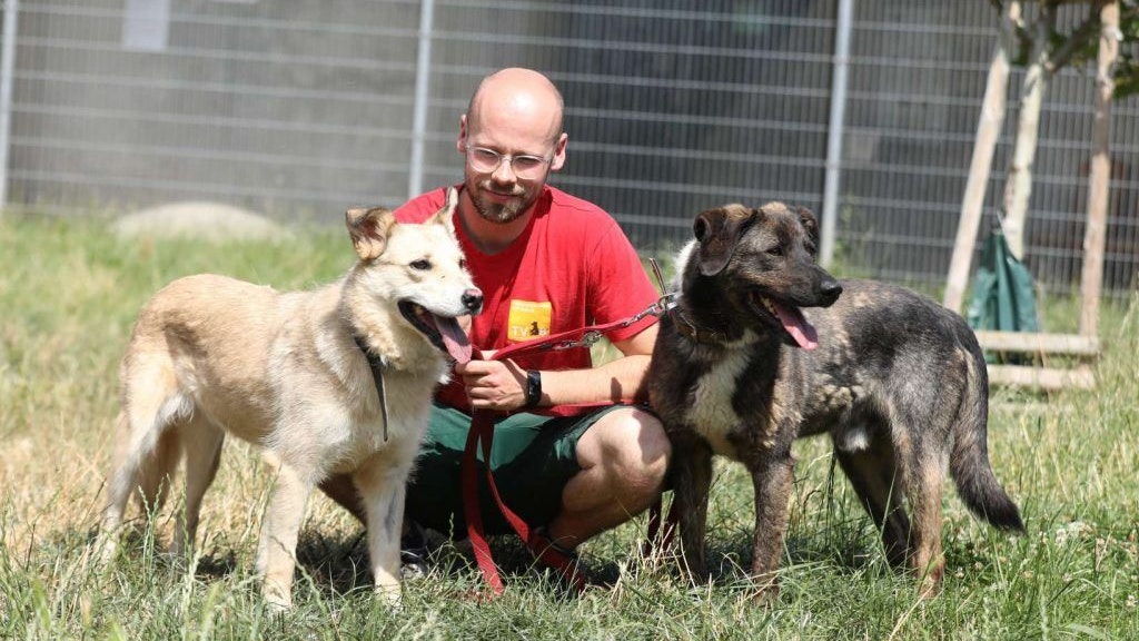 Sonya lebt mit ihrem Kumpel Kamal zusammen im Tierheim Berlin.
