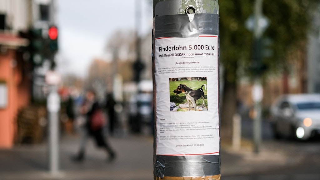 Auf einem Zettel an einem Laternenpfahl wird nach dem vermissten Hund Oskar gesucht.