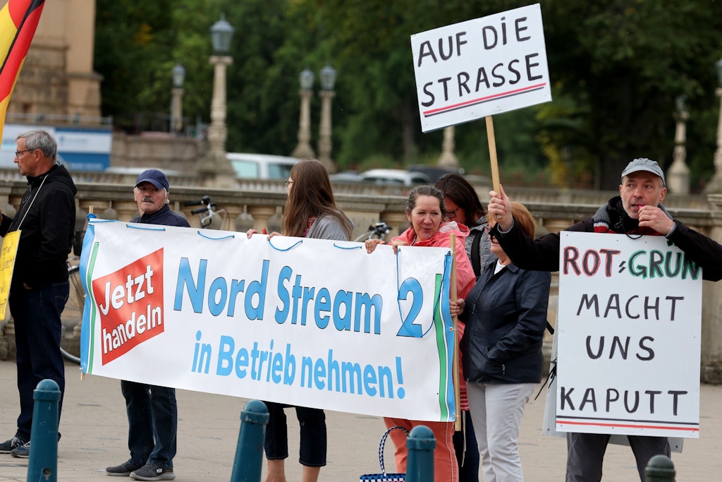AfD-Anhänger demonstrieren für die Aufhebung der Sanktionen gegen Russland.