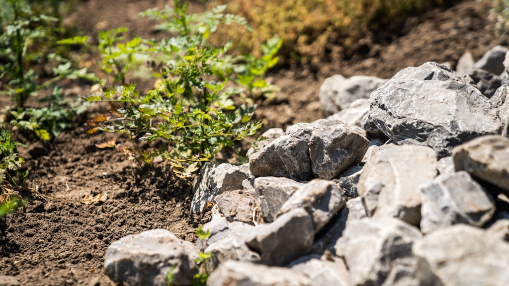 Das ist mehr als nur ein Haufen Steine in einer Gartenecke: Das ist ein Zuhause für viele Tiere.