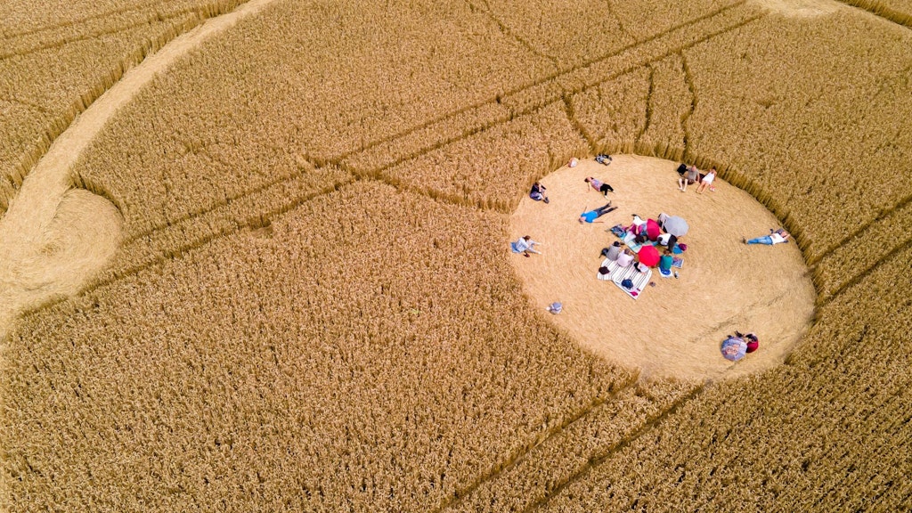 Die ausbleibende Ernte durch illegale Kornkreise hat schwere Folgen für die Landwirte in England.