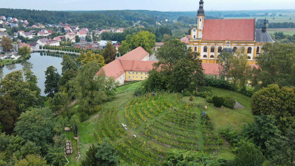 Blick auf den Weinberg am Kloster Neuzelle