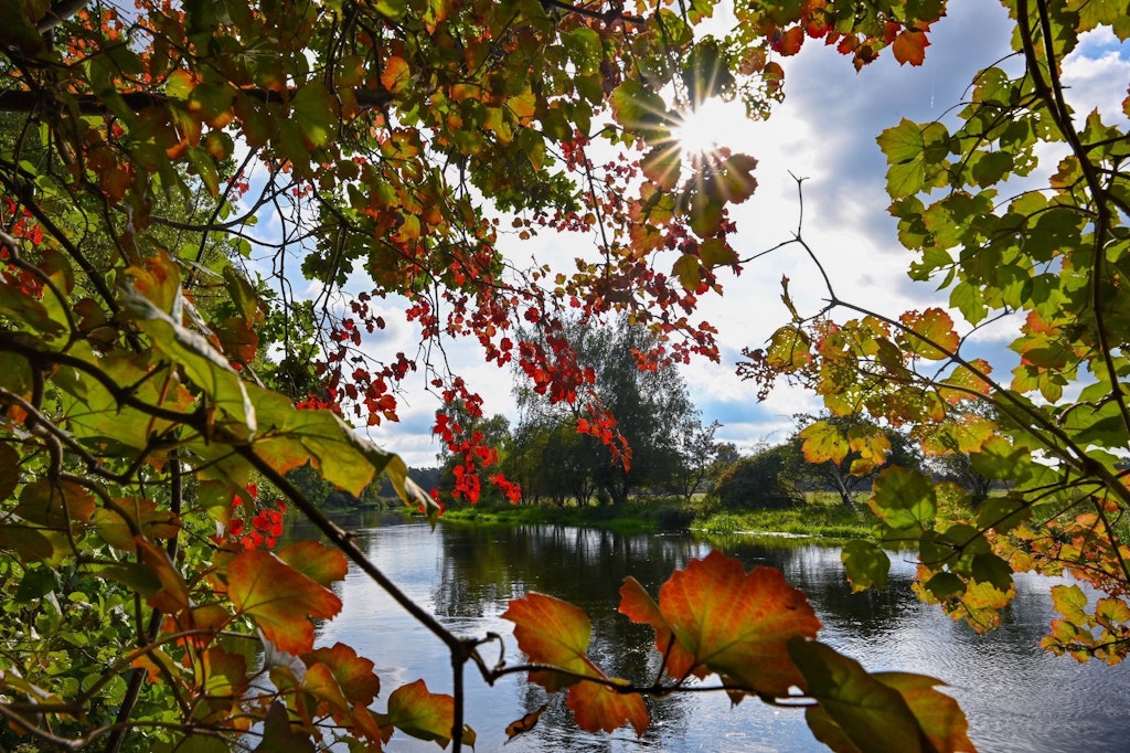 Die Sonne scheint durch die ersten herbstlich bunt gefärbten Blätter von Laubbäumen am Ufer der Spree in Brandenburg. Das Wetter wird in der kommenden Woche noch einmal sommerlich.