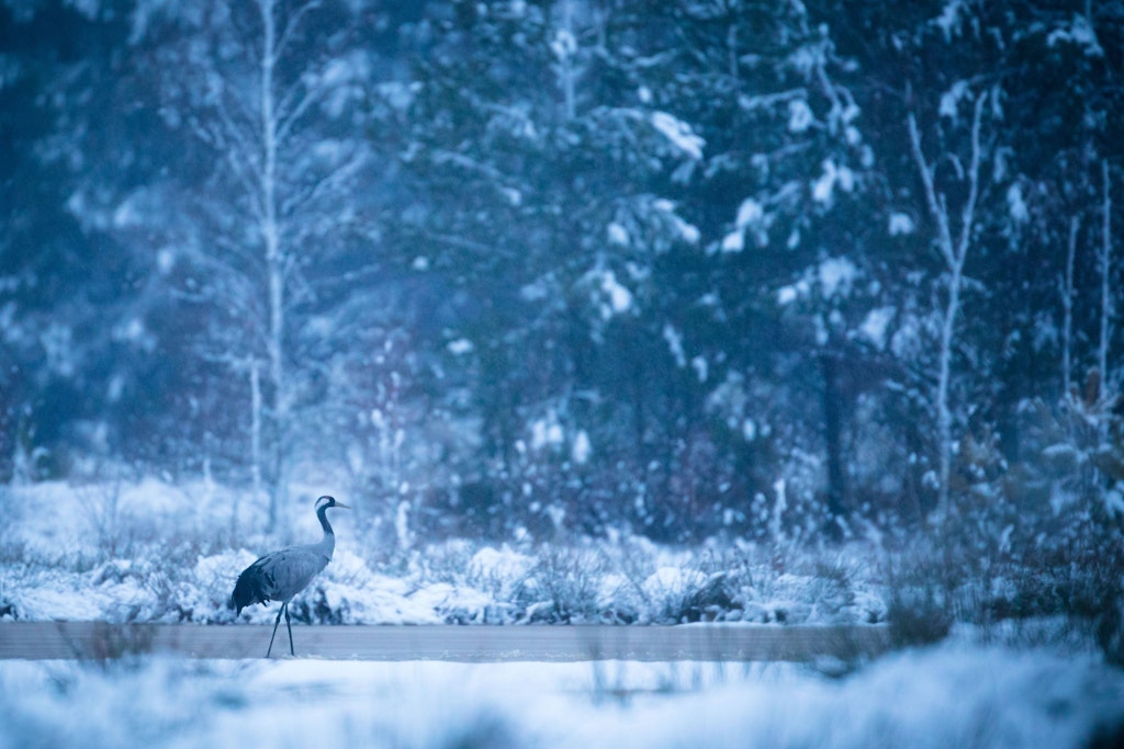 Wird es eisig im Winter? Wetter-Experte Dominik Jung geht davon nicht aus.