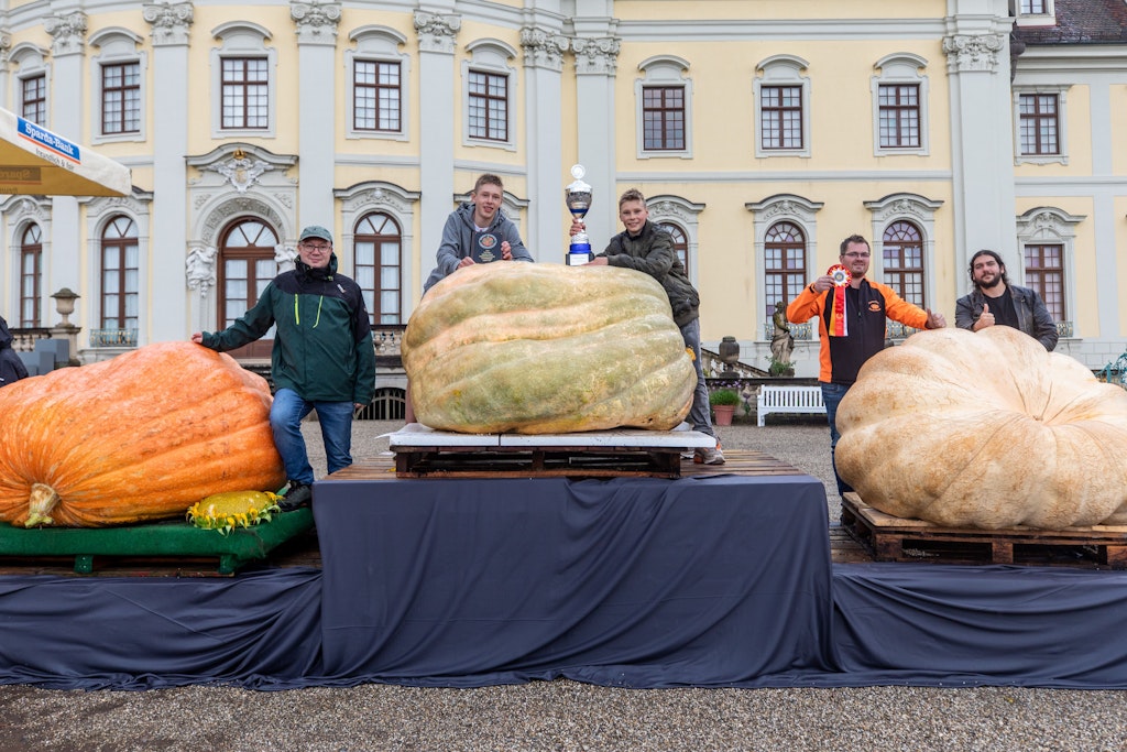 Die drei schwersten Kürbisse der deutschen Meisterschaft im Kürbiswiegen mit ihren Züchtern: Auf Platz 3, Kevin Kloch (2. v. r.) und Marius Weishäupl (r.) und ihr 746 Kilogramm schwerer Kürbis; Platz 2, Matthias Würsching (l.) mit seinem 754 Kilogramm schweren Kürbis und Platz 1 für Jakob (2. v. l.) und David Frommelt mit ihrem 796 Kilogramm schweren Kürbis. 