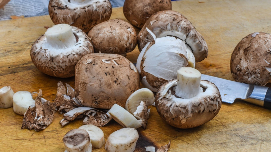 Leckere Champignons gehören in die deftige Herbstpfanne.