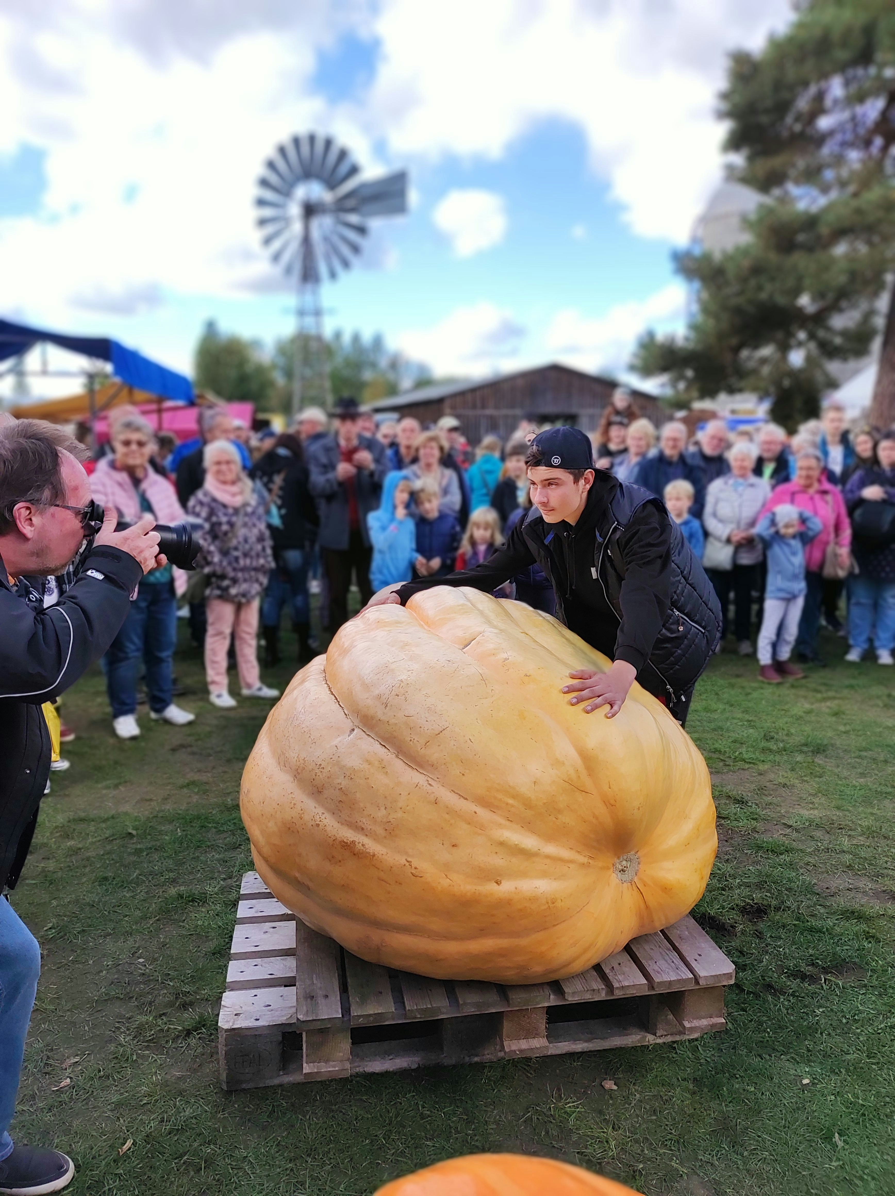 Riesen-Gemüse: 14-Jähriger gewinnt Preis mit 412-Kilo-Kürbis!