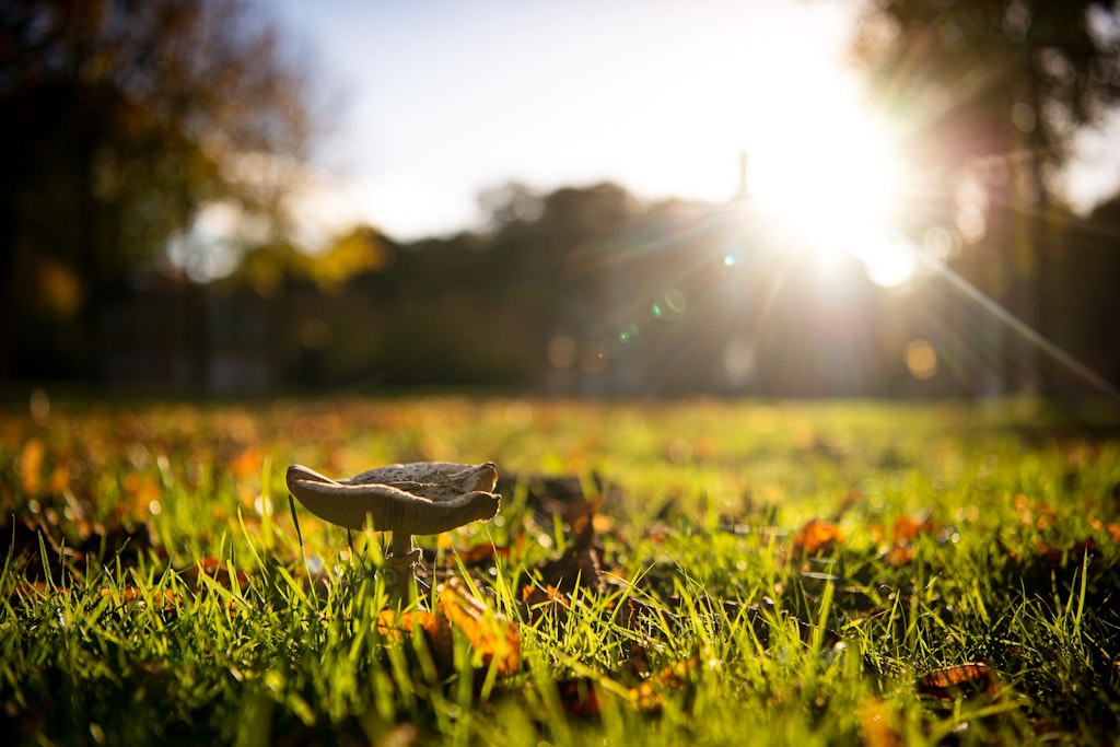 Traumhaftes Wetter erwartet uns weiterhin im Oktober. Doch dann kommt der Temperatur-Absturz.