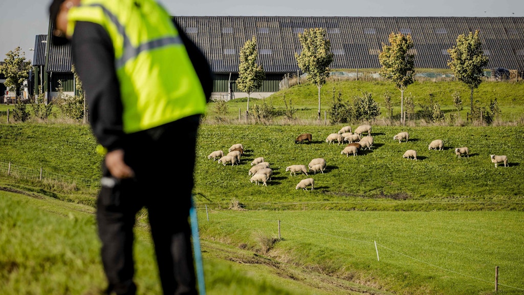 Hunderte Helfer suchten nach der vermissten Hebe und ihrer Pflegerin Sanne.