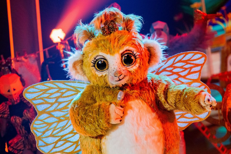 Das Versteckspiel ist vorbei! Süßer Goldi bei „The Masked Singer ...