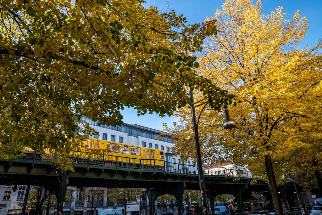 Viel Sonne scheint dieser Tage durchs Berliner Herbstlaub.