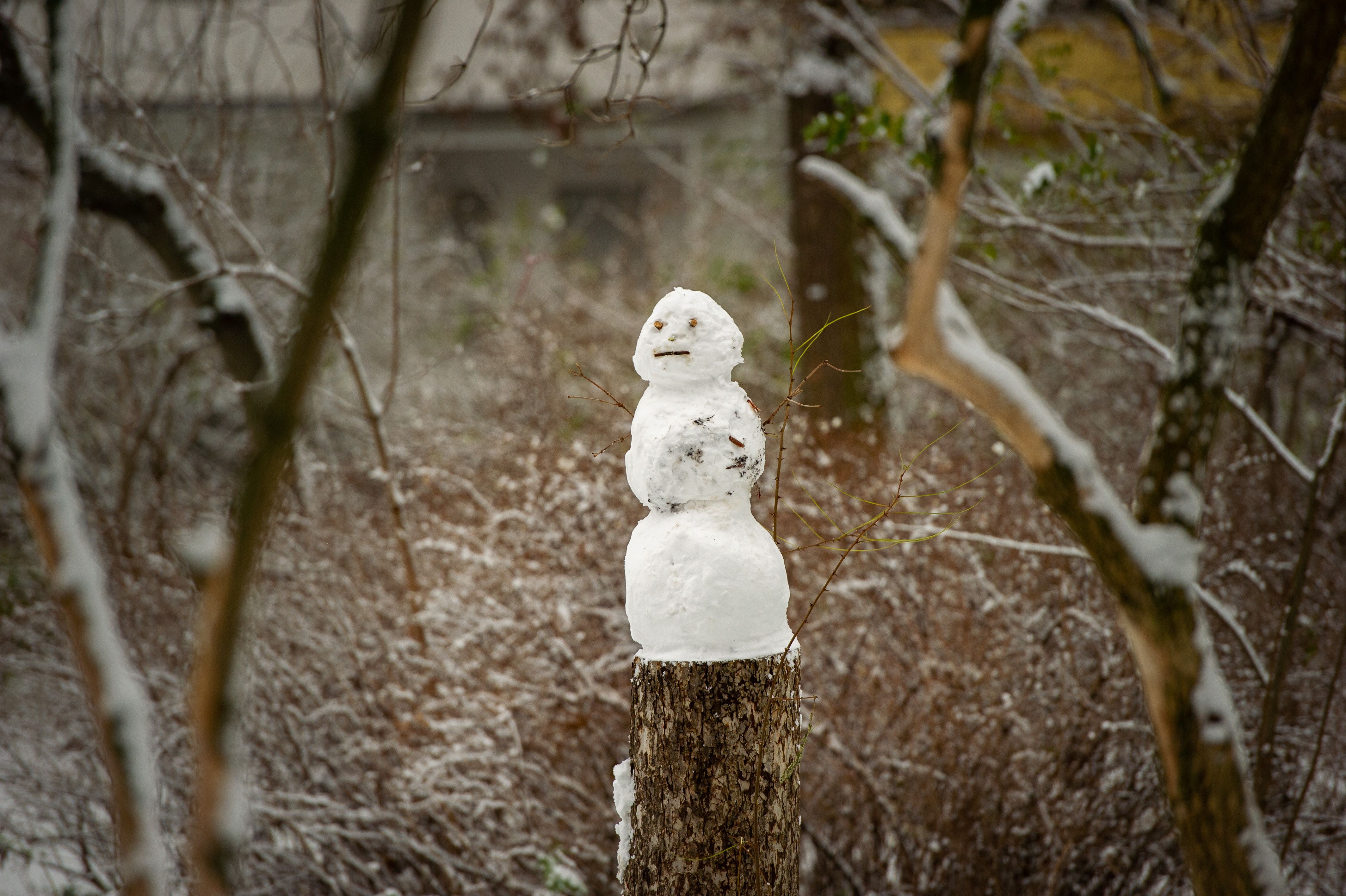 Das Wetter: Temperatursturz Und Schnee Im November? So Sehen Jetzt Die ...