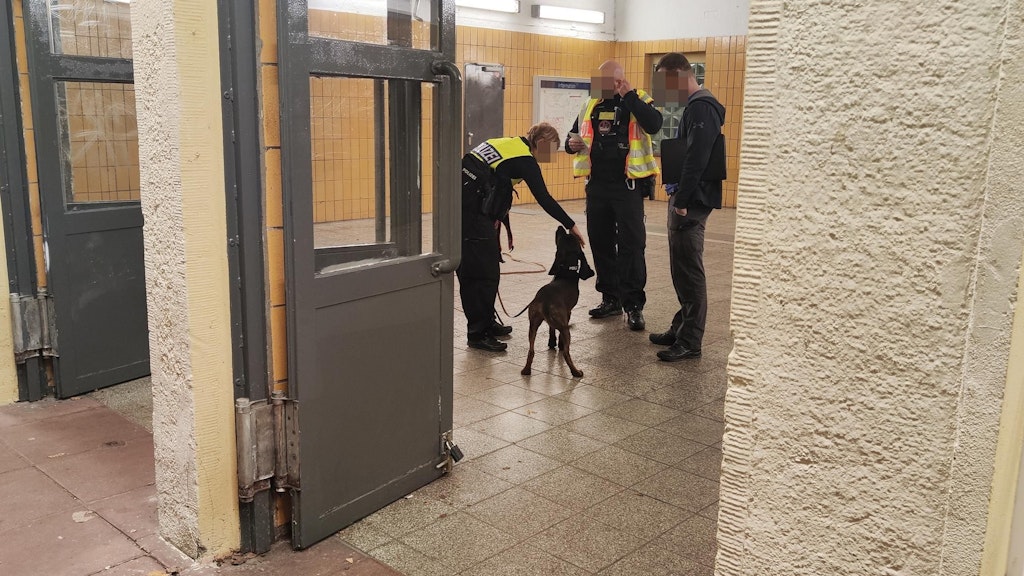 Brav gemacht! Gustav bekommt Streicheleinheiten.