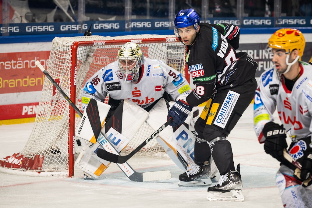 Die Entschlossenheit von Yannick Veilleux tut den Eisbären spürbar gut.