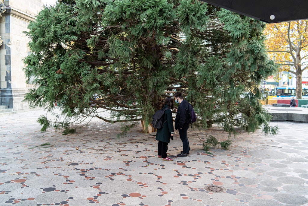 2020 sah der Baum für den Breitscheidplatz untenrum auch ganz schön zerzaust aus.